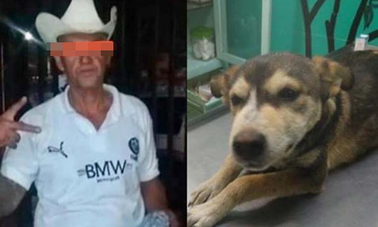 Detienen a sujeto que abusó y causó muerte de perrita en Nezahualcóyotl