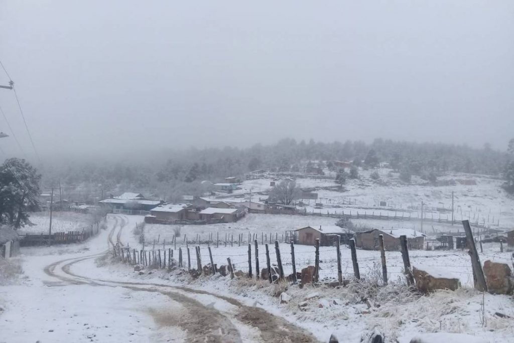 Pronóstico del clima para hoy domingo 12 de enero