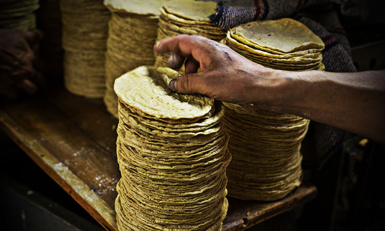 ¿Subió o no el precio de las tortillas? Esto dice la Profeco