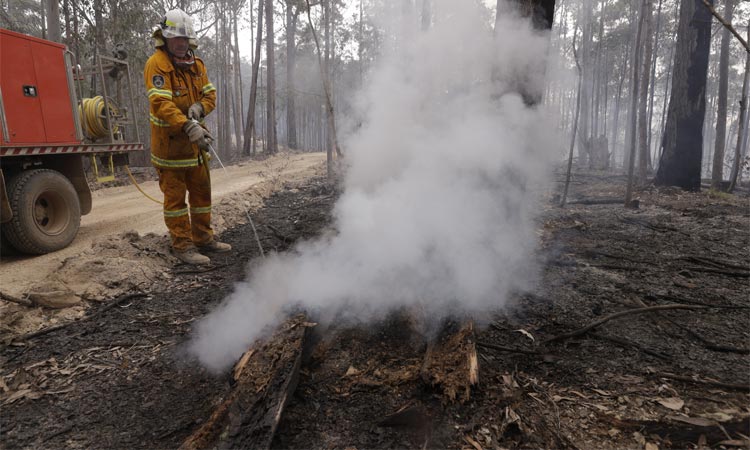 Respiro para Australia: lluvia ayuda a apagar incendios forestales