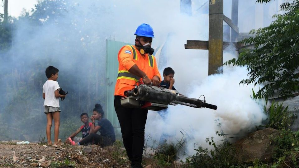 Cinco muertos confirmados por dengue en Honduras