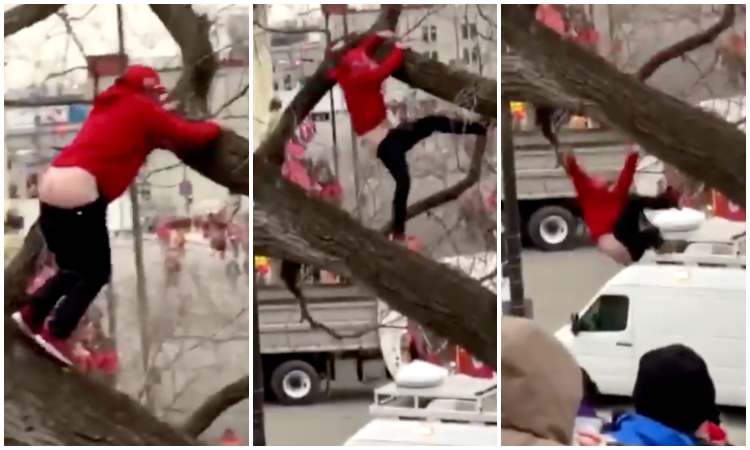 Aficionado cae desde un árbol durante el desfile de los Chiefs