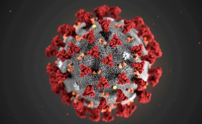 Coronavirus de Wuhan podría llegar a México en las próximas semanas | El Universal