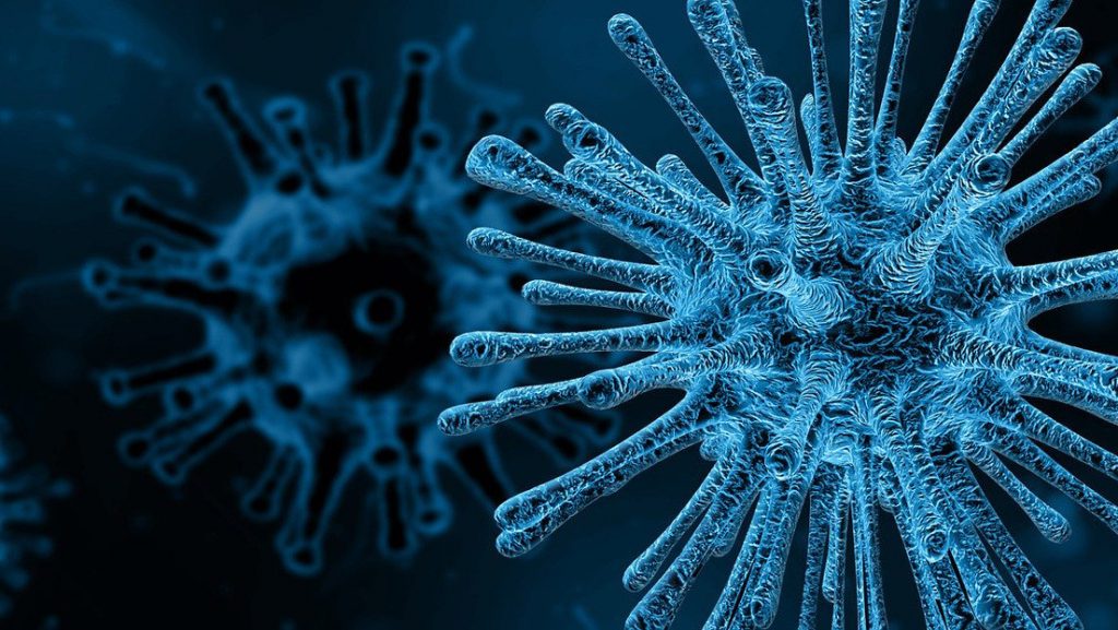 Descubren el ‘talón de Aquiles’ de los virus que podría abrir el camino a una vacuna universal contra las infecciones